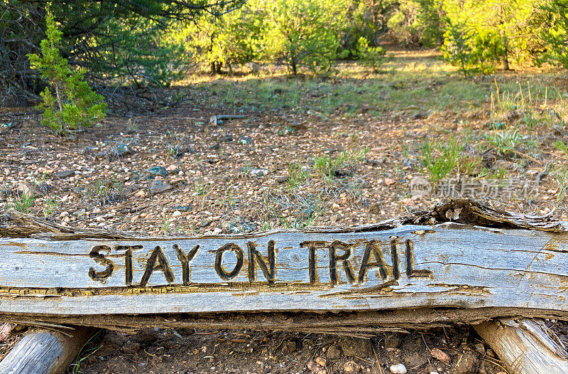 在野外的木制标志上写着“STAY ON TRAIL”